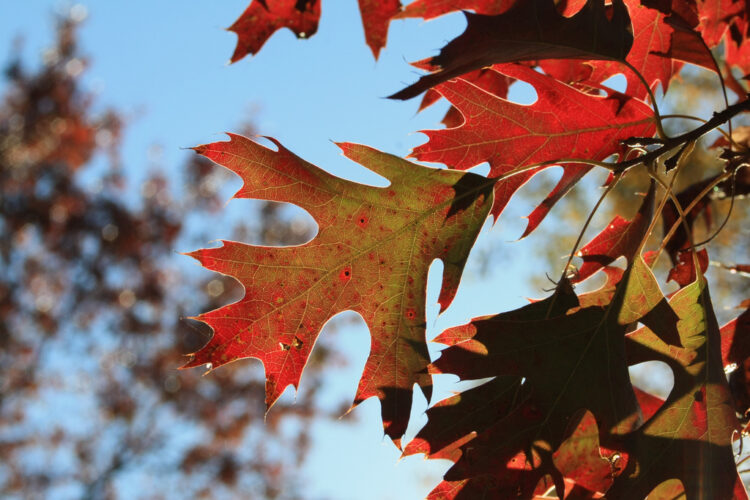 Extend Your Range of Change