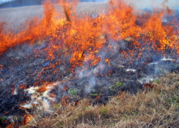 You Made a Mistake on Social Media. Now What?