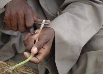 Growth Hacking: Marketing for Startups