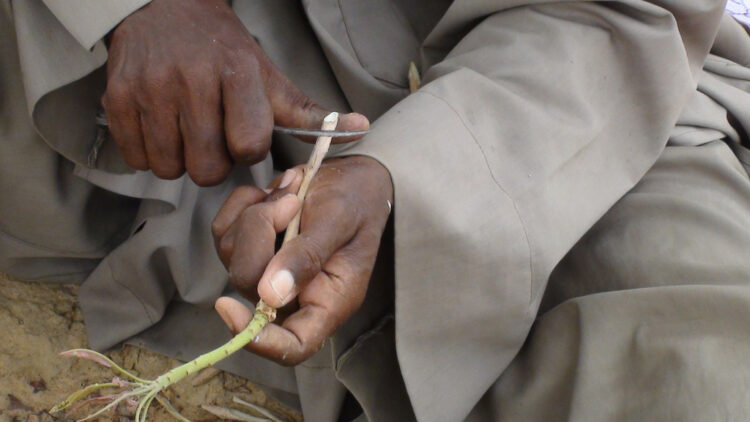 Growth Hacking: Marketing for Startups