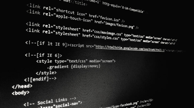 I Learned HTML for Free. Now What Do I Do?