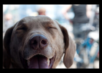 3 Reasons Startup Founders Should Love Their Job