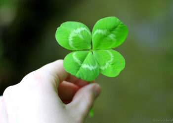 How to Create Luck From Hustle