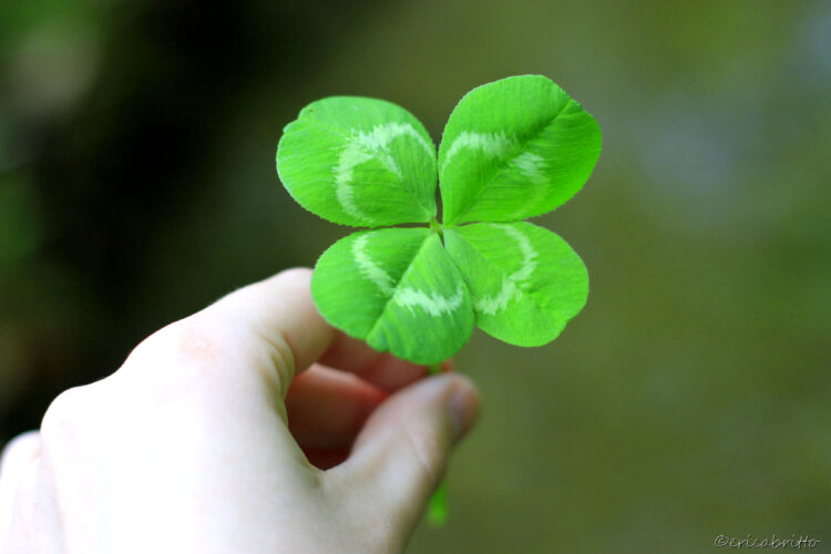 How to Create Luck From Hustle