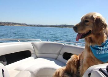 How to Organize an Event that Doesn’t Suck