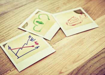 Most of Us Are Polaroid Investors