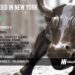 Ro Raises $200M to Become NYC’s Newest Unicorn