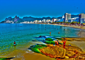 Analyzing the Competitive Landscape in the Startup World