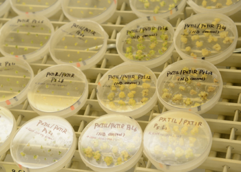 What to Look for When Investing in a Biotech Startup