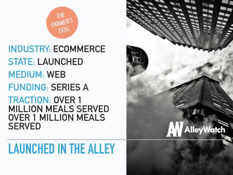 This NYC Startup Makes Sure Your Dog Eats Well Too