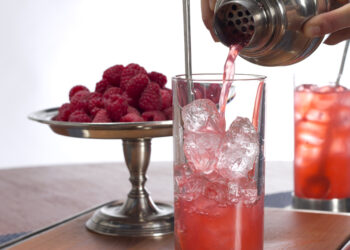 The Startup Mixelerator