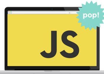 The First Programming Language You Should Learn is…
