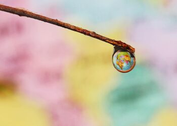 Traveling The World Of Social Media