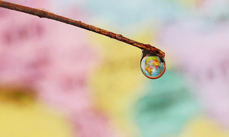 Traveling The World Of Social Media