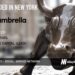 Umbrella Raises $5M as the Tech World Awakens to the Needs of the Increasing Elderly Population
