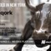 Unqork Pulls in Another $207M for its No-Code Platform to Build Enterprise Solutions