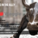 This NYC Startup Waggle is Giving You Unlimited Cat Videos