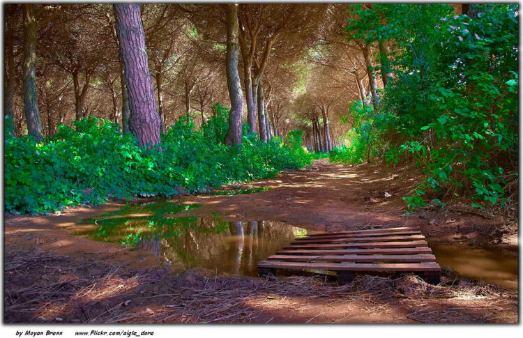 Stop Trying to Be an “IDEALpreneur”