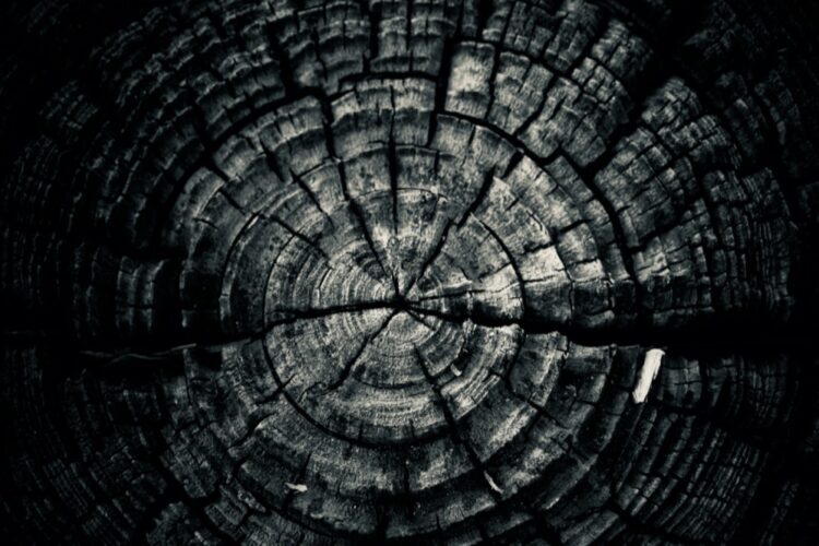 When am I “Too Old” to Launch a Startup?