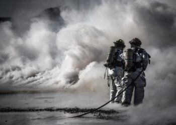 Growth through Diversity as an Economic Strategy