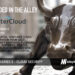 BetterCloud Raises $60M To Keep Your SaaS Applications Secured and Managed in the Cloud