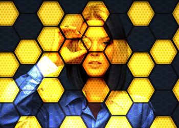 The Three Different Bitcoins