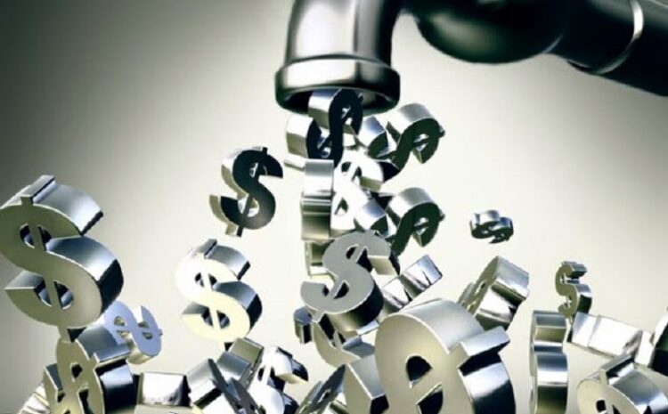 Managing for Net Cash Flow vs Net Profit