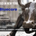Bluecore Raises $125M to Become New York’s Newest Unicorn