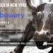 Bowery Valuation Raises $35M for its Tech-Enabled Commercial Real Estate Appraisal Firm