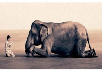 3 Ways That Storytelling Is a Startup’s Secret Weapon