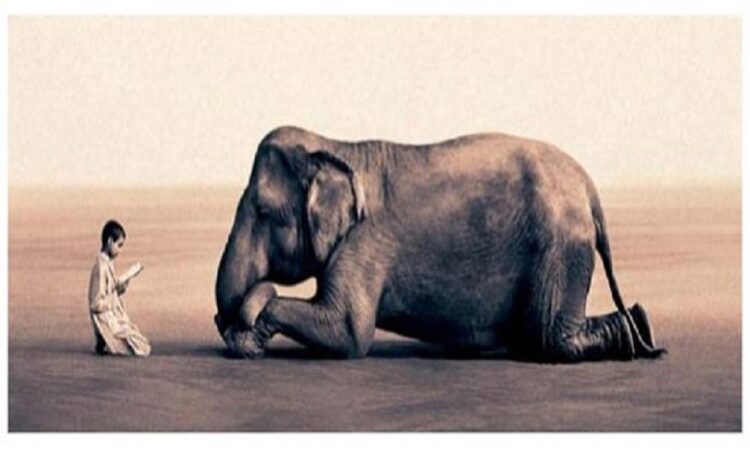 3 Ways That Storytelling Is a Startup’s Secret Weapon