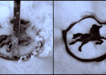 8 Rules for an Enduring Startup Brand