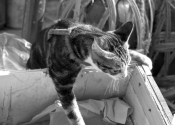 The 8 Biggest Challenges These Startup Founders Overcame