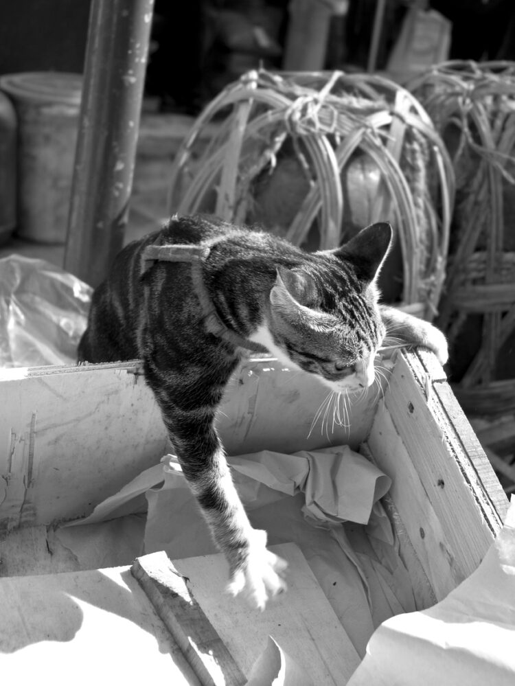 The 8 Biggest Challenges These Startup Founders Overcame