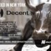 Decent Raises $3.5M to Allow the Music Industry to Embrace Web3 Seamlessly