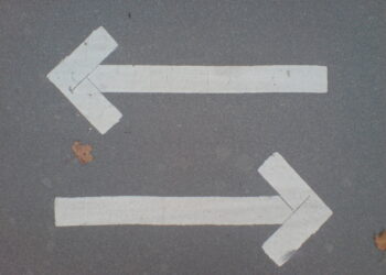 Startup Founders Face Serious Business Culture Myths