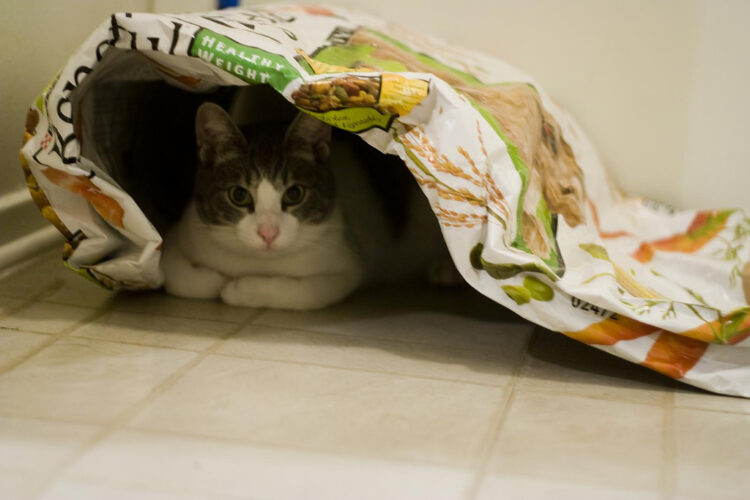 How to Get People to Eat Dog Food