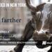 Farther Raises Another $15M for its Tech-Enabled Wealth Management Firm