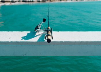 How to Change the Course of Your Business Gracefully