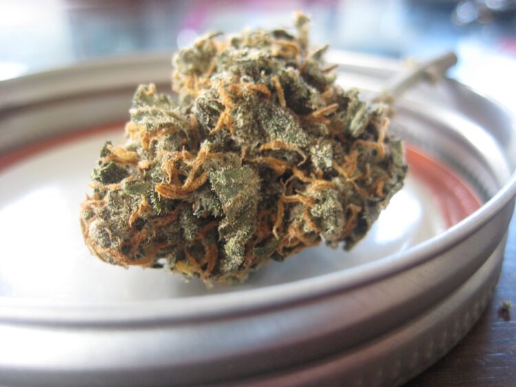 How Much Is the CBD Oil Industry Worth and How Can You Get In