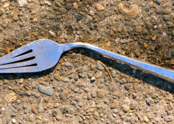 Startup Decisions Must Be Quick and Disciplined