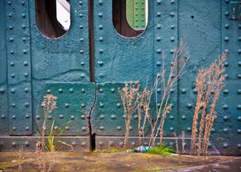 5 Startup Lessons for Fast-Growing Companies