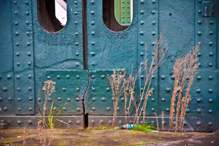 5 Startup Lessons for Fast-Growing Companies