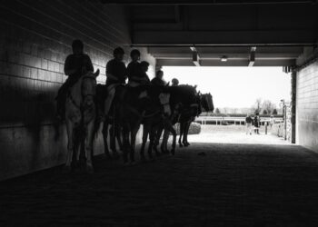 Are Bonuses Really Worth the Hype in Online Betting?