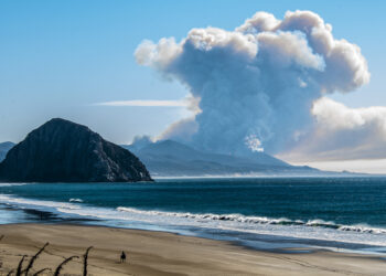 10 Clues That Managing a Startup May Not Be For You