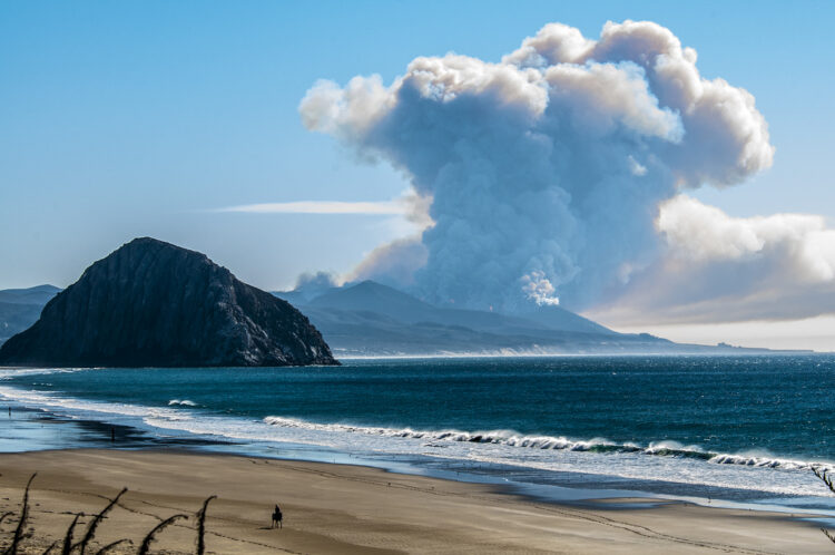 10 Clues That Managing a Startup May Not Be For You