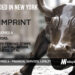 Imprint Raises $38M to Give Companies the Power to Offer Branded Payment Options and Rewards Platforms