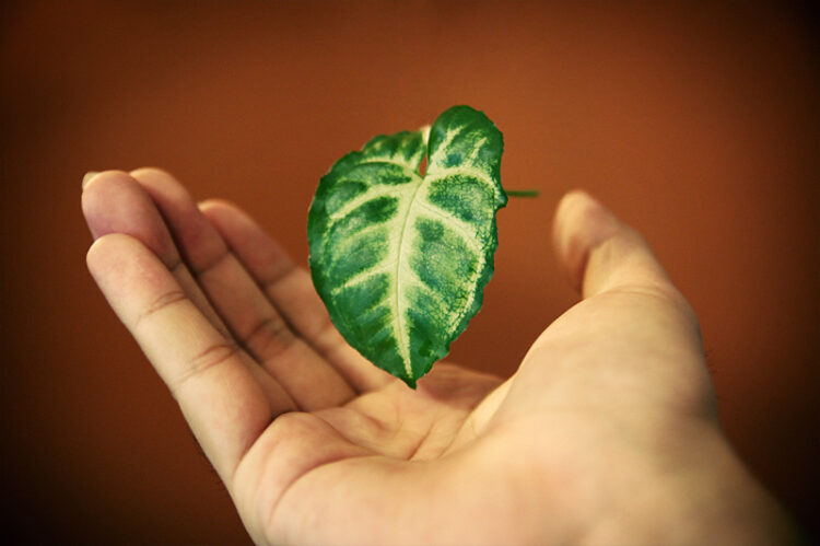 4 Ways Entrepreneurs Can Create More Innovations