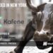 Kafene Raises Another $18M for its Flexible Financing Platform that Brings Lease-To-Own Options to the Mainstream