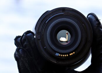 Why Entrepreneurs Need to Keep Their Business Focused